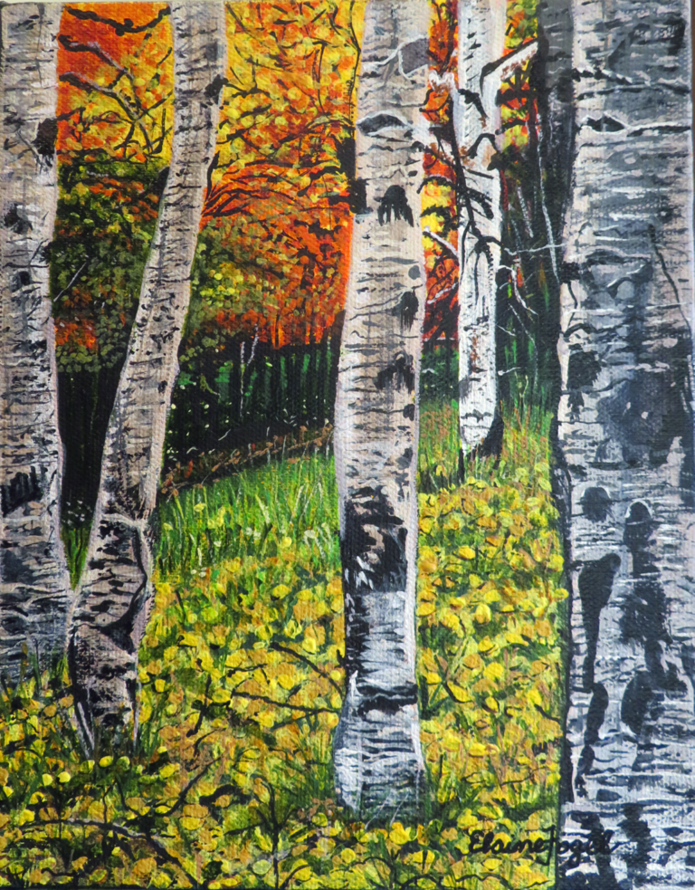 Autumn Birch Trees