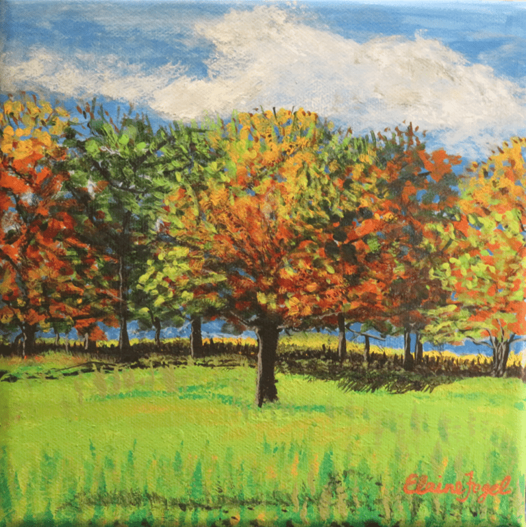 Autumn Trees in a Field