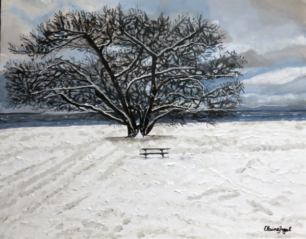 Cold Day on the Lake