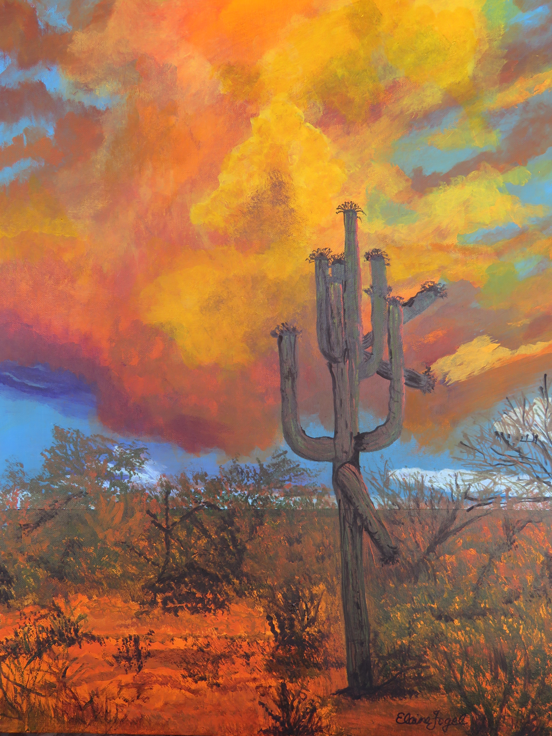 Desert Sky on Fire