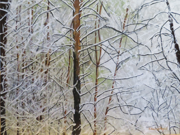 Forest Snowfall