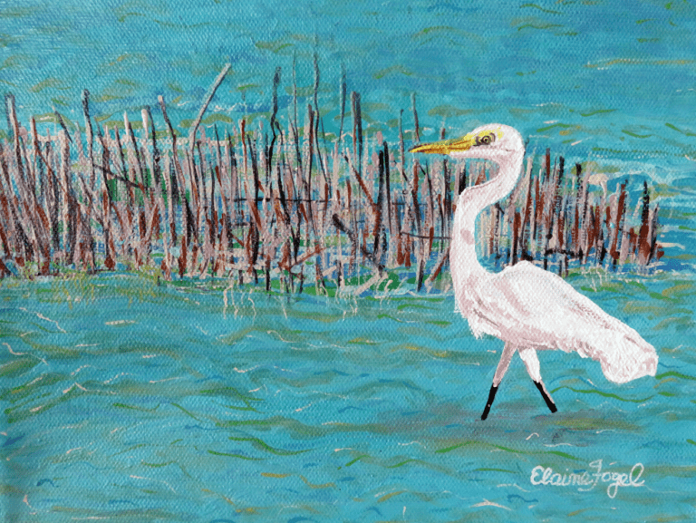 Great Egret in the Reeds