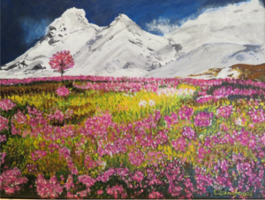 Mountain Wildflowers