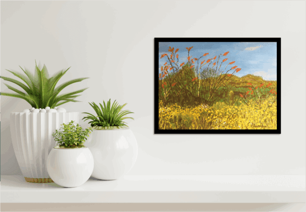 Ocotillos - Image 2