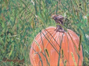 Pumpkin in the Patch