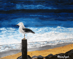 Original painting, "Silver Gull on a Fencepost"