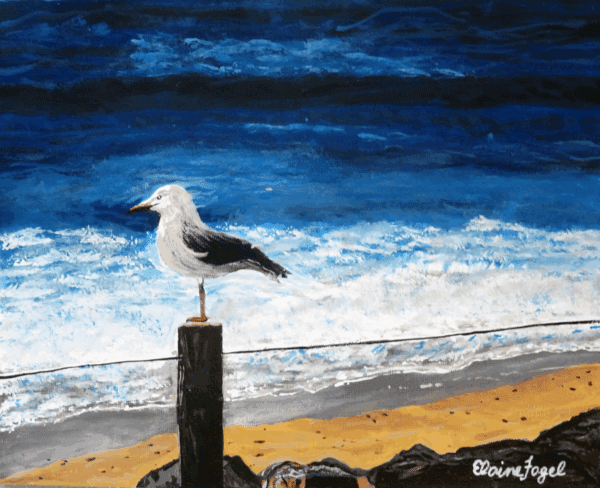 Original painting, "Silver Gull on a Fencepost"