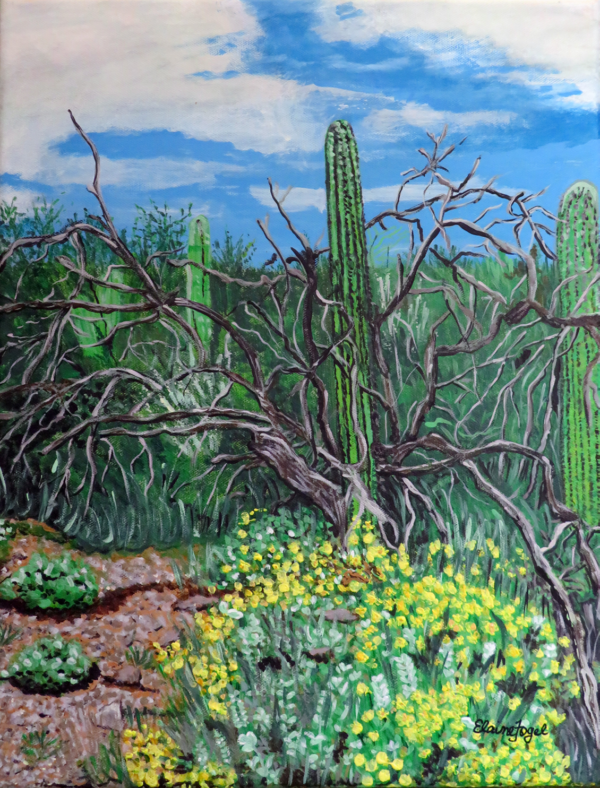 Sonoran Desert Scene