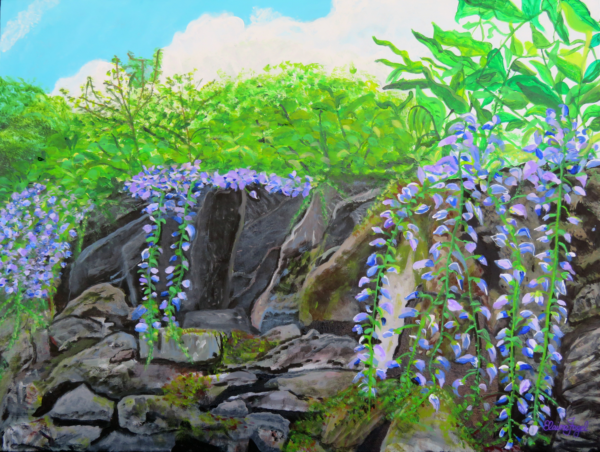 Spring in the Welsh Countryside
