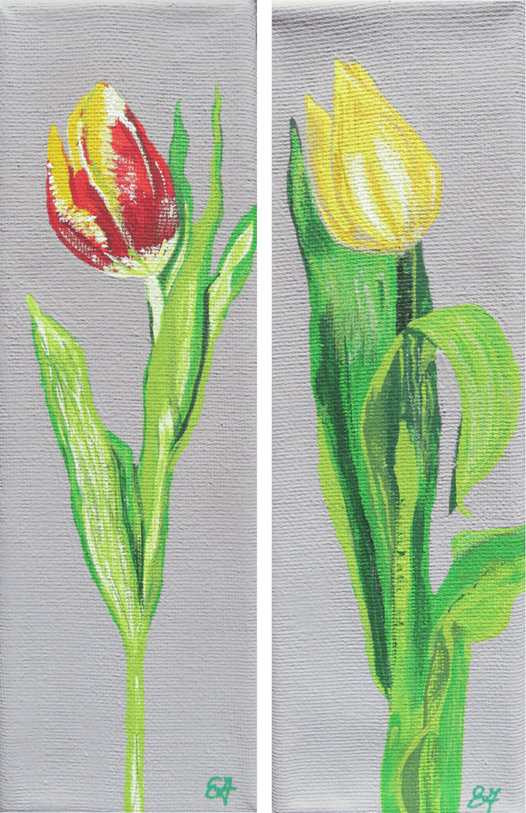 Tulips